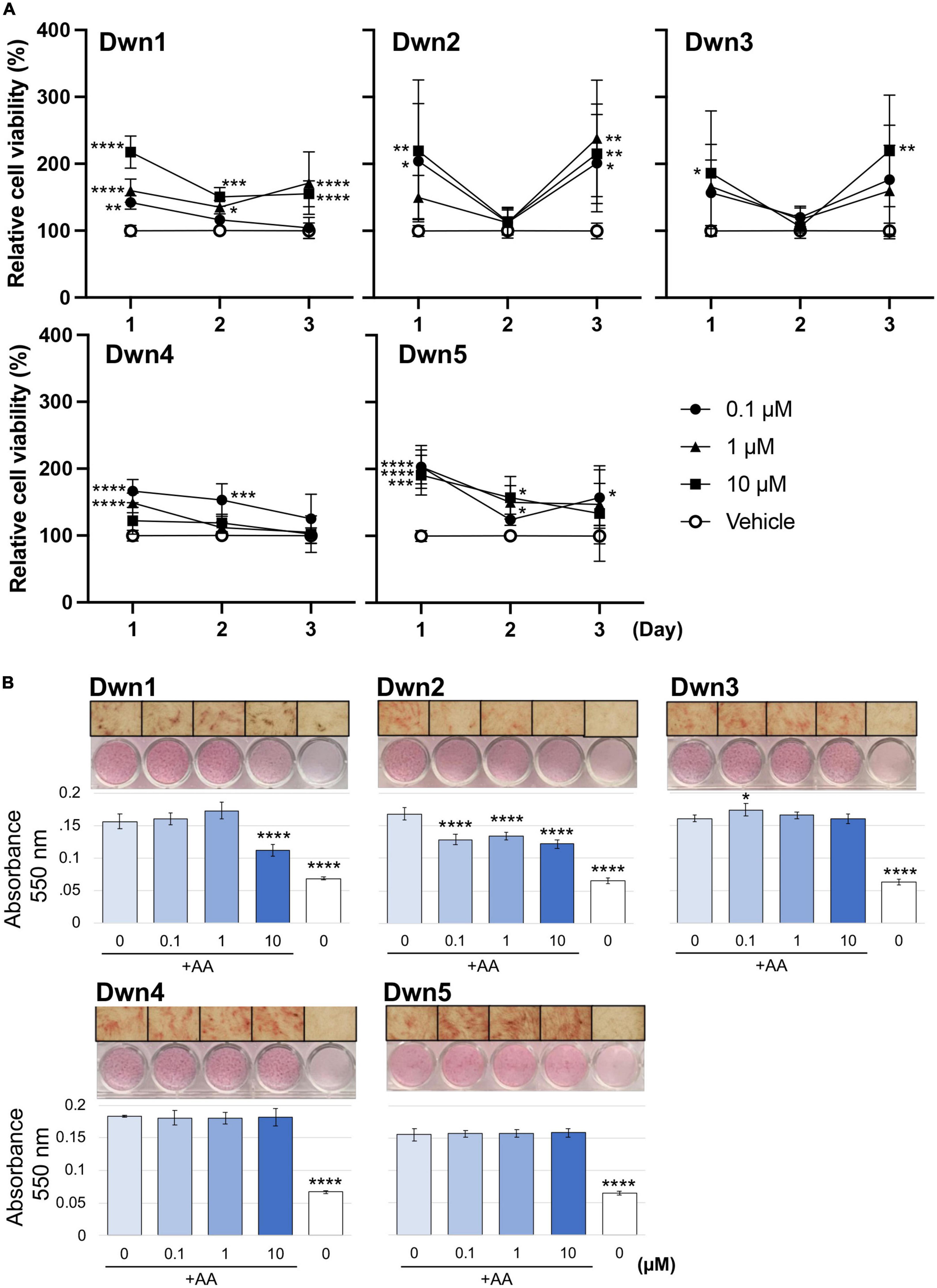 In vitro assessment of Neuronal PAS domain 2 mitigating compounds for scarless wound healing